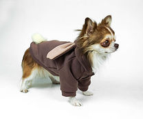 Suņu ziemas apģērbi