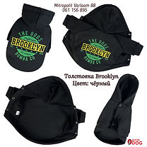 Suns ziemas mētelī